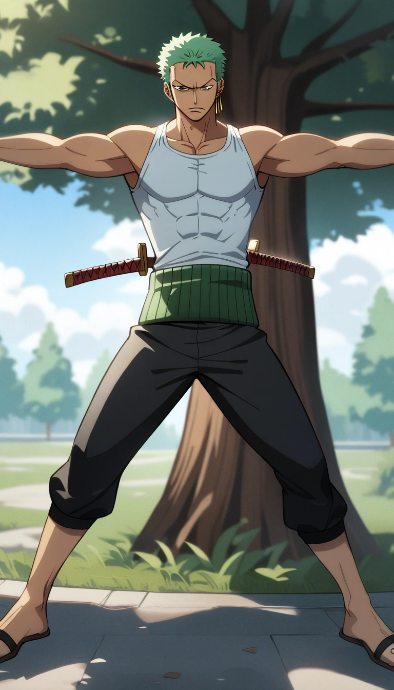 Roronoa Zoro