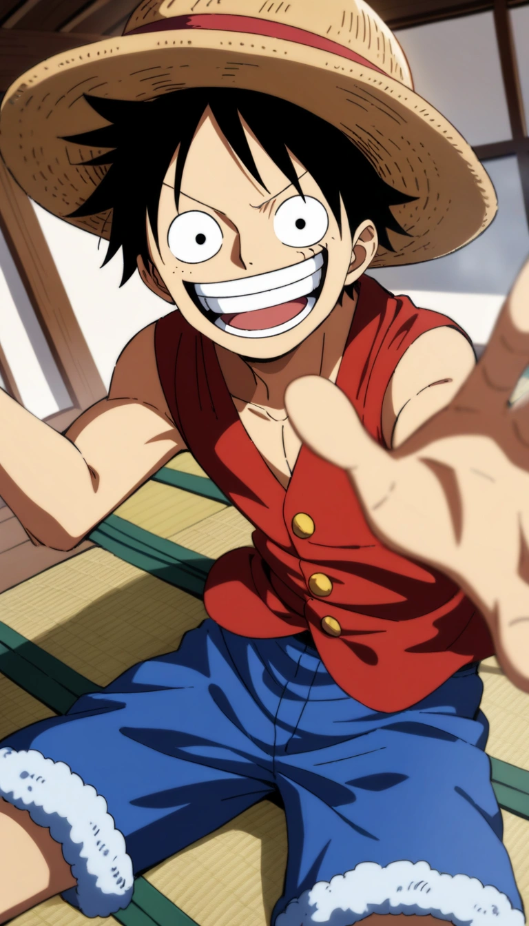 Monkey D. Luffy