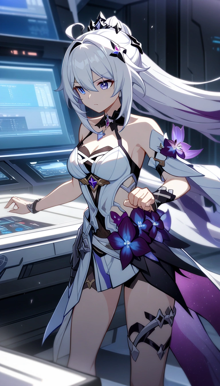 Kiana Kaslana - Herrscher of Finality