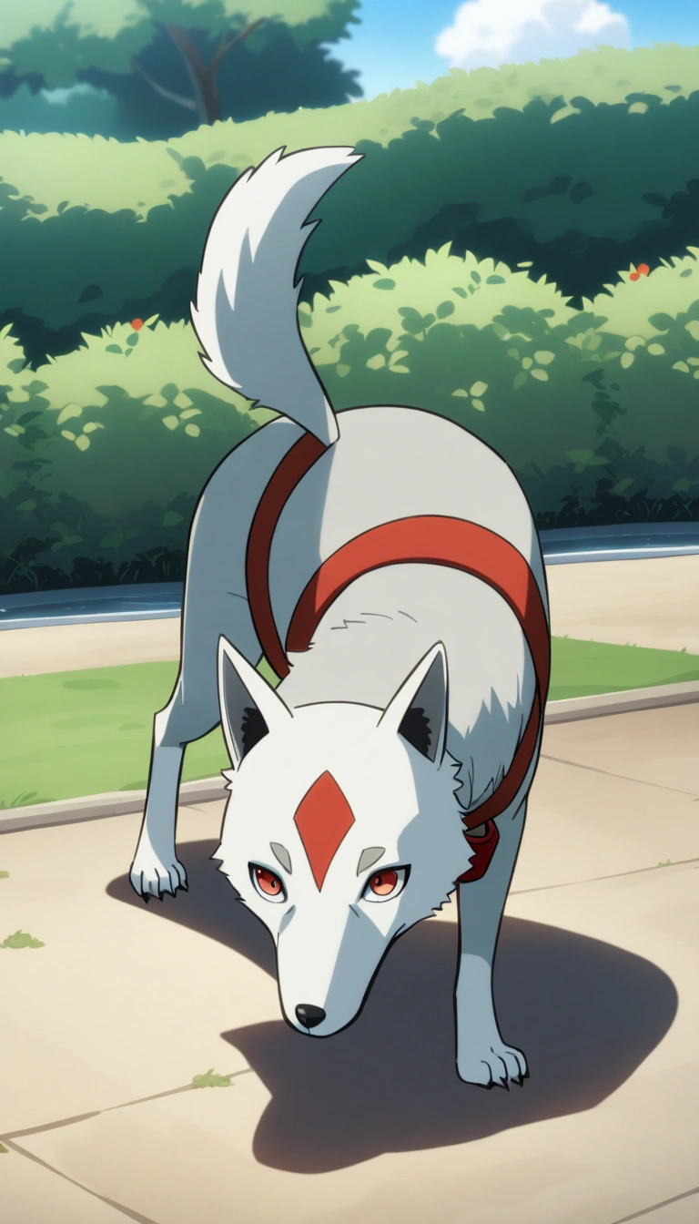 Koromaru