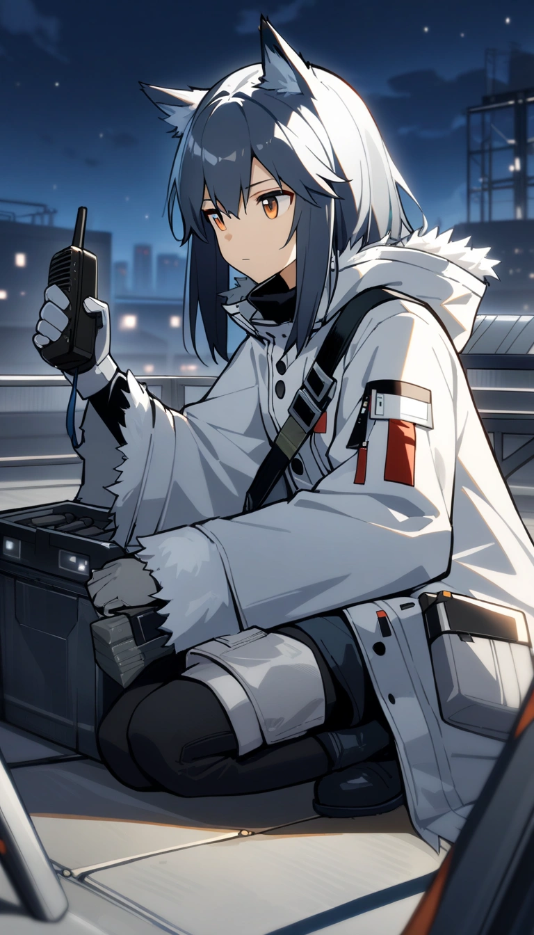 Texas - Winter Messenger