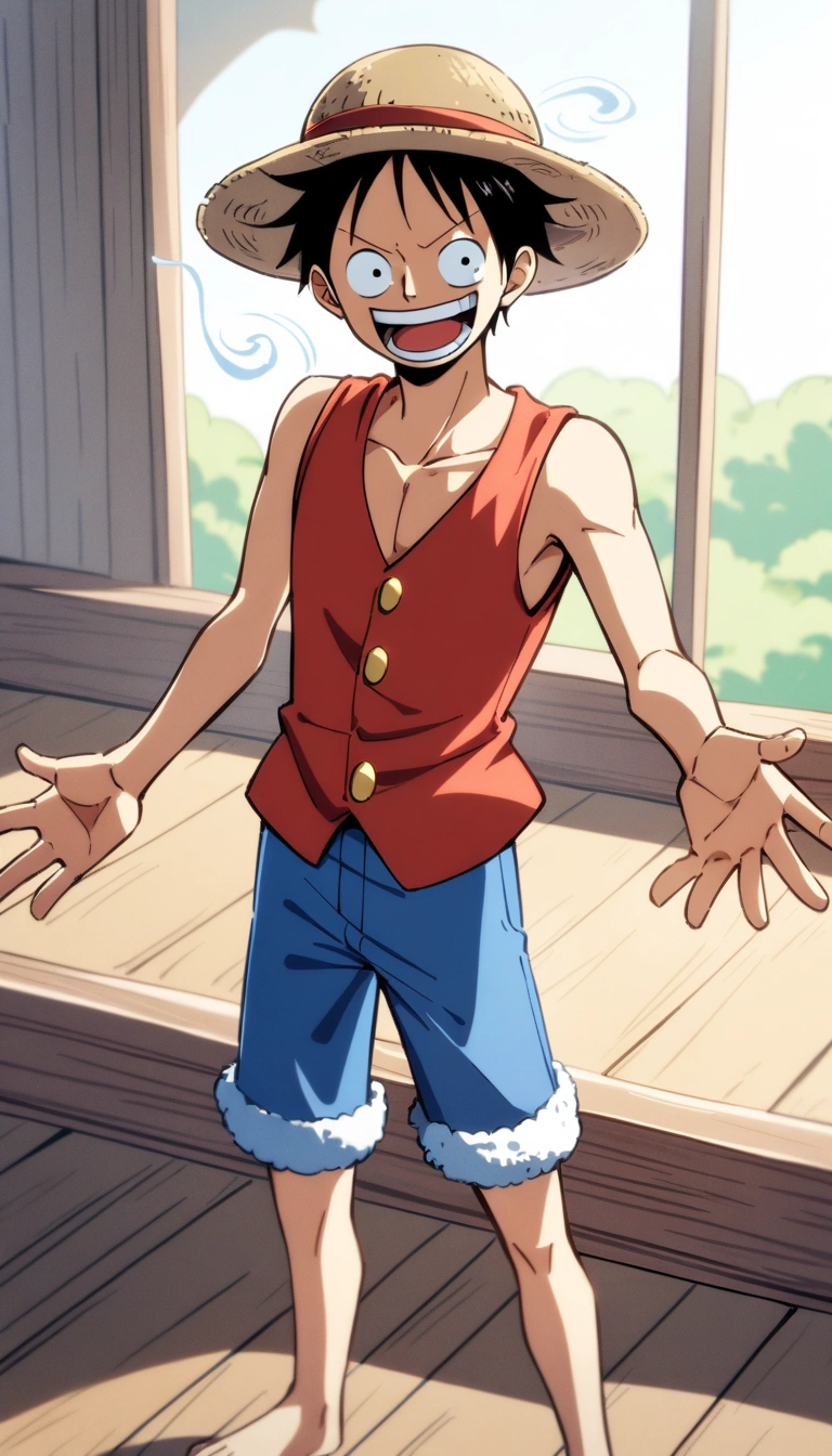 Monkey D. Luffy