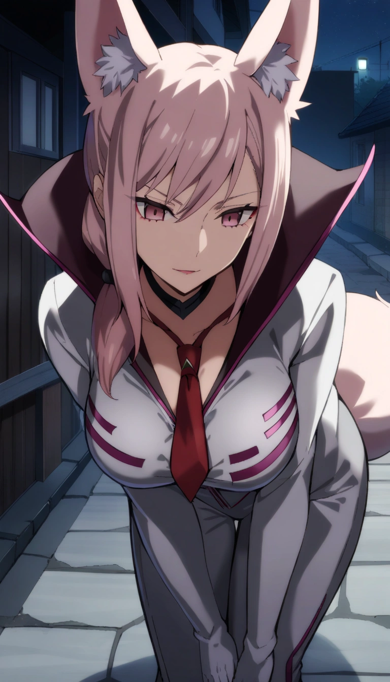 Koyanskaya - Assassin - First Ascension