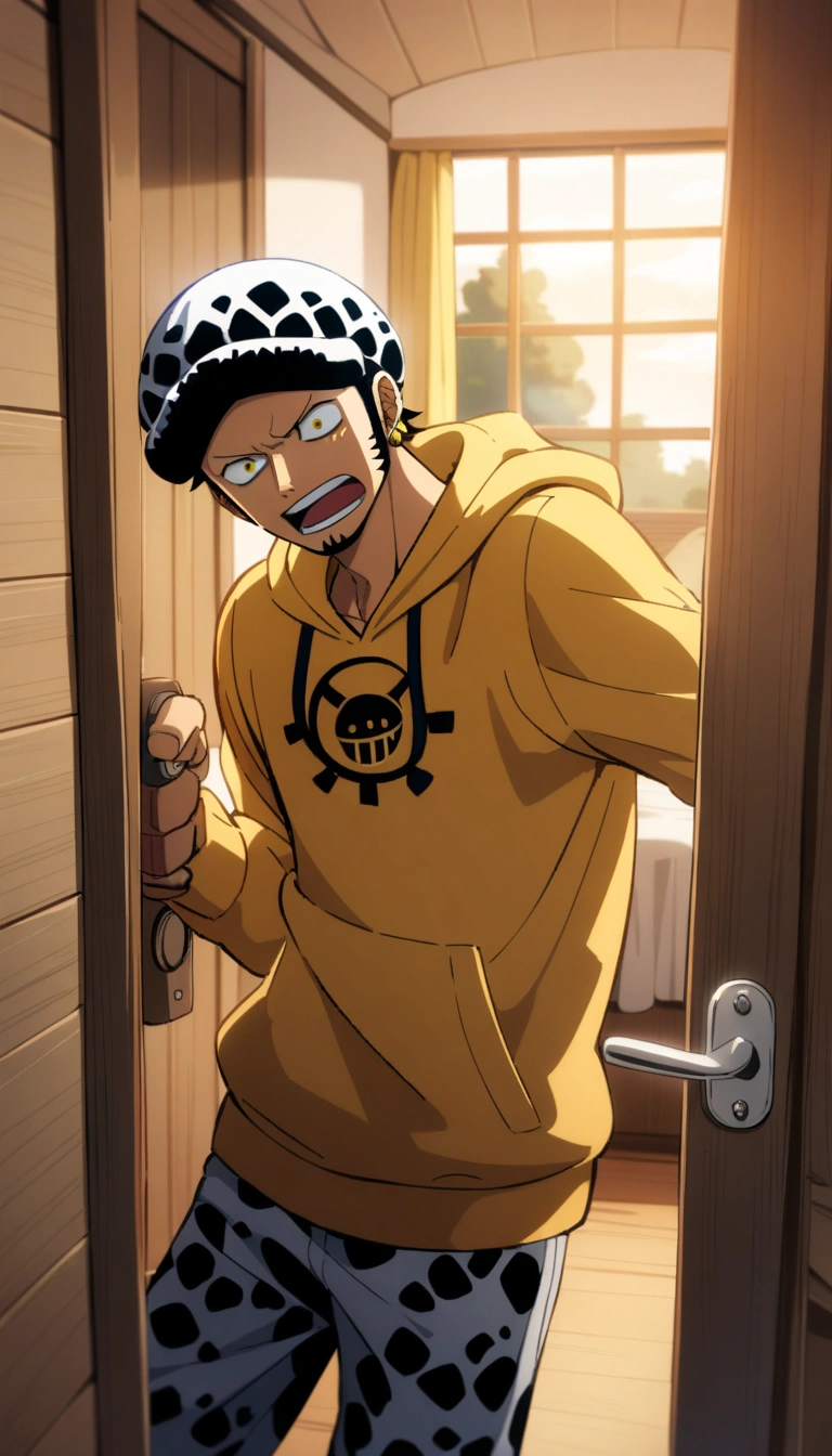 Trafalgar Law