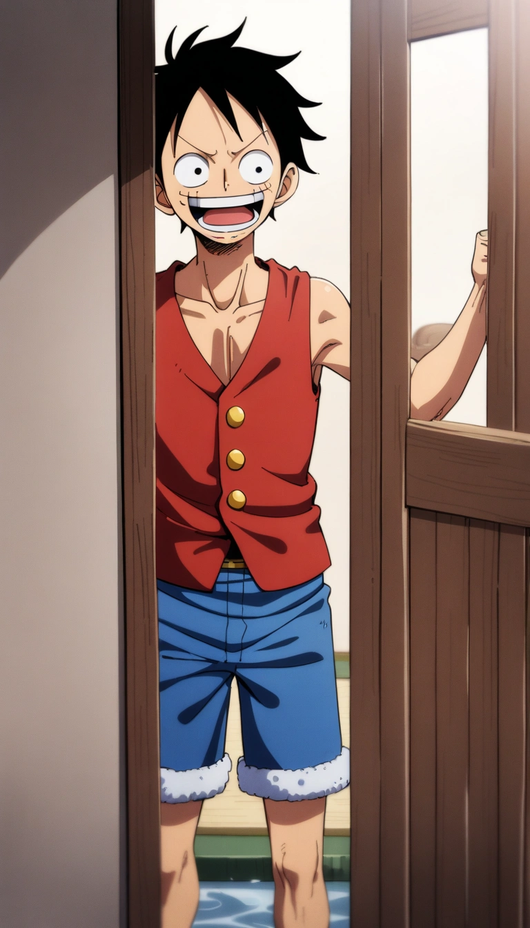 Monkey D. Luffy