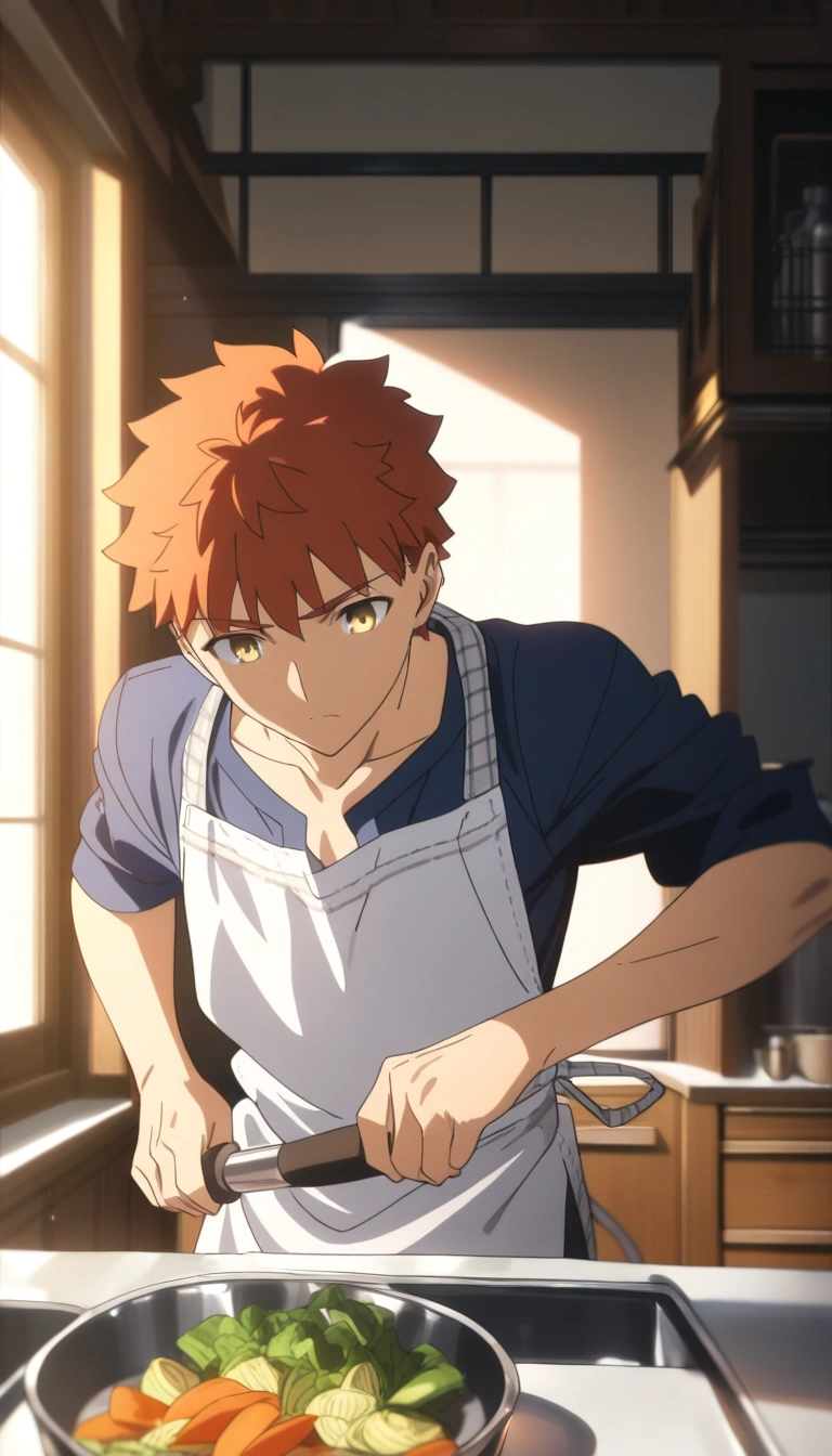 Emiya Shirou