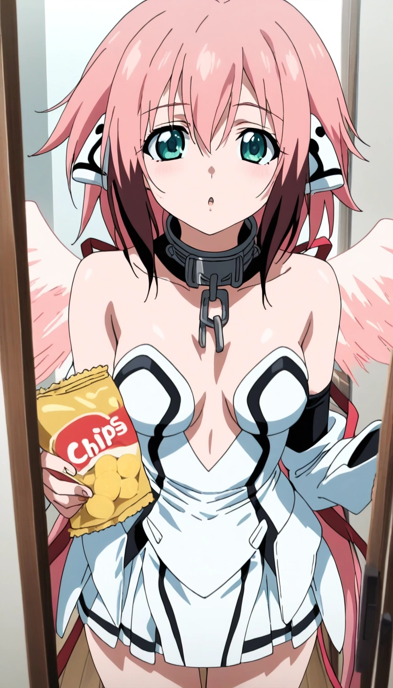 Ikaros