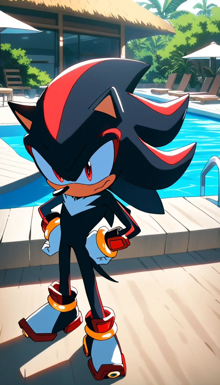 Shadow the Hedgehog