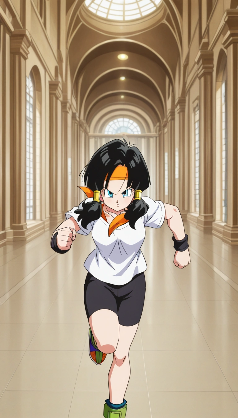 Videl