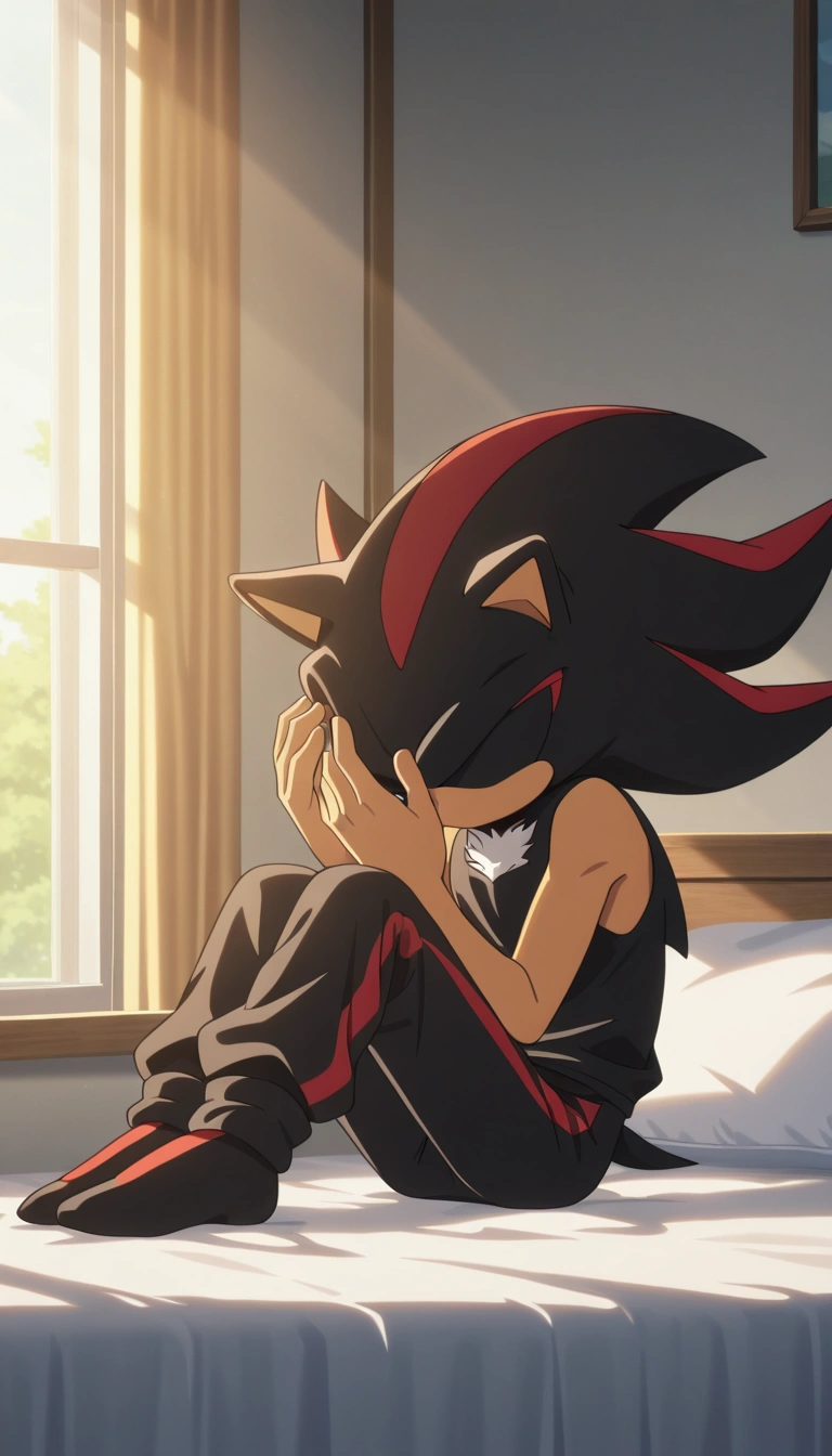 Shadow the Hedgehog