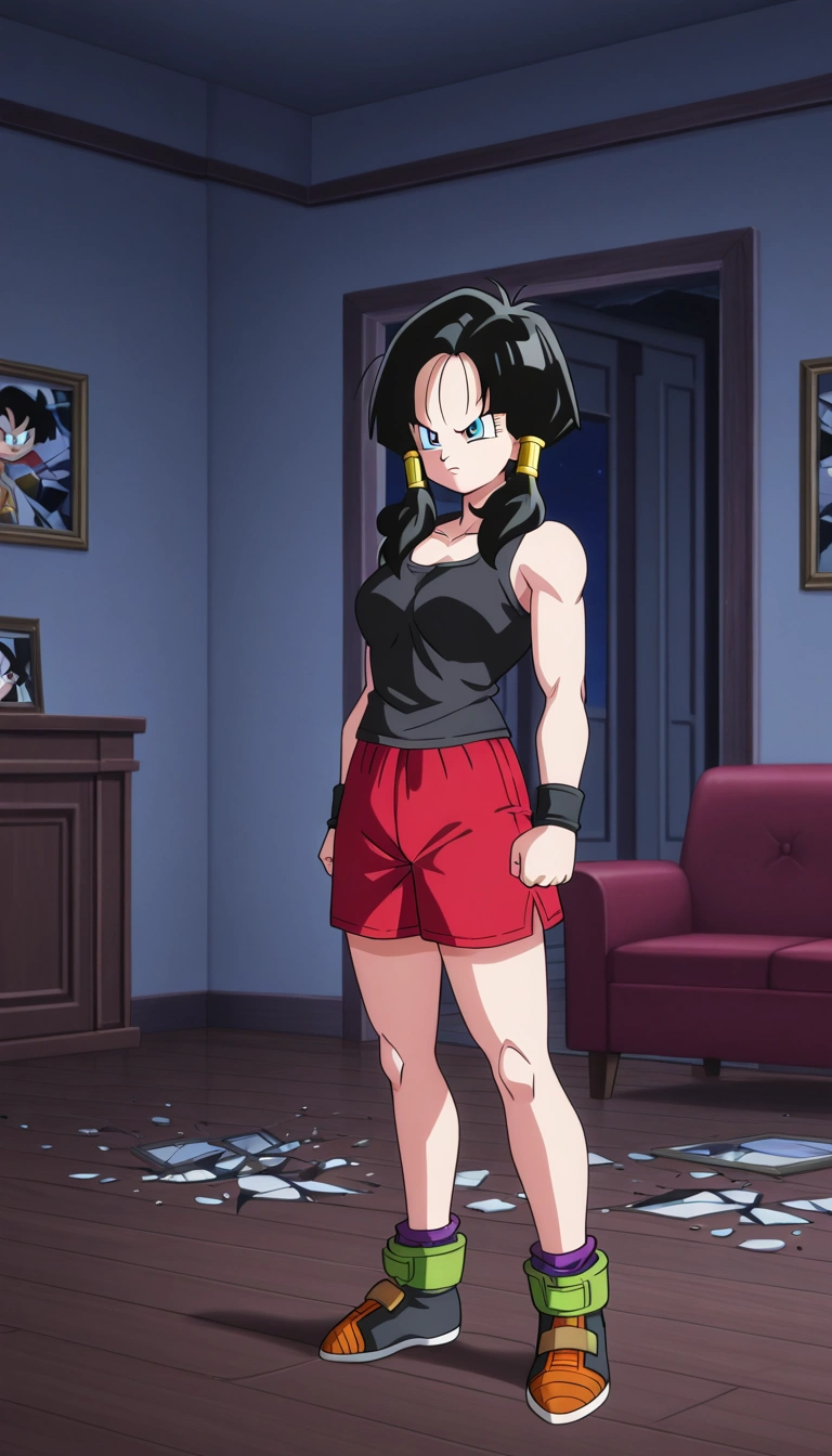 Videl