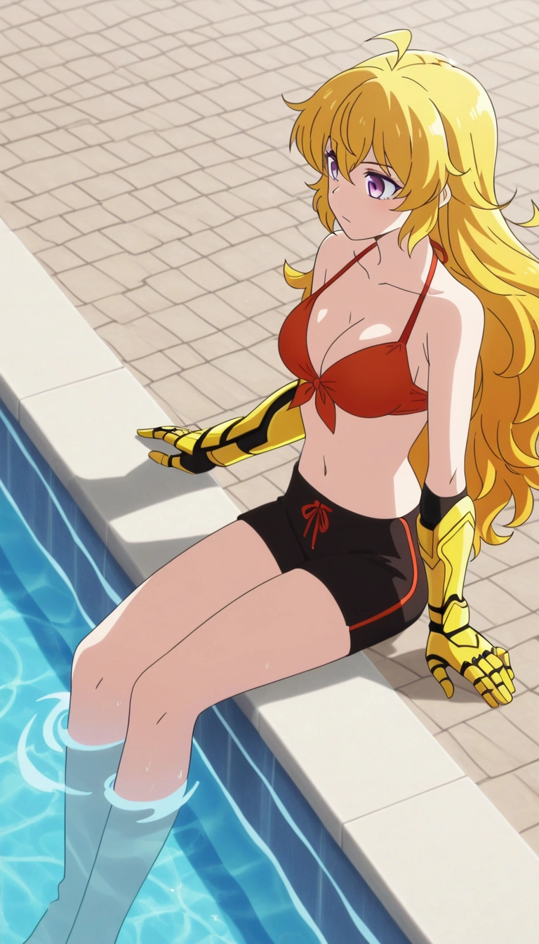 Yang Xiao Long