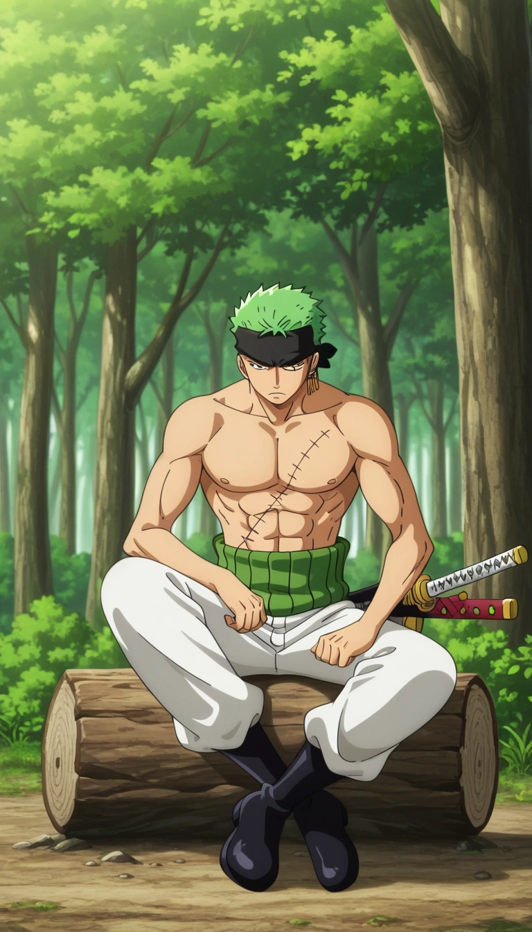 Roronoa Zoro
