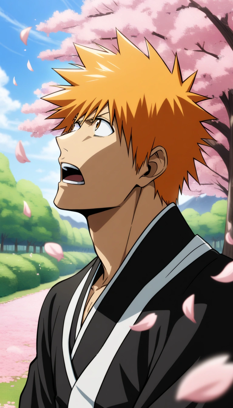 Kurosaki Ichigo